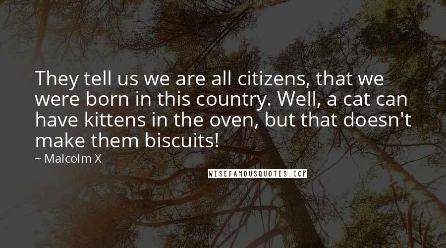 Malcolm X Quotes: They tell us we are all citizens, that we were born in this country. Well, a cat can have kittens in the oven, but that doesn't make them biscuits!