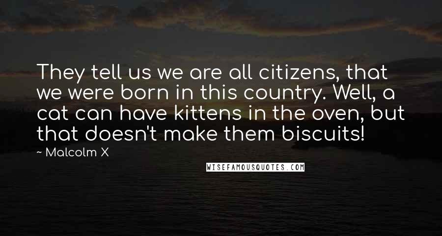 Malcolm X Quotes: They tell us we are all citizens, that we were born in this country. Well, a cat can have kittens in the oven, but that doesn't make them biscuits!