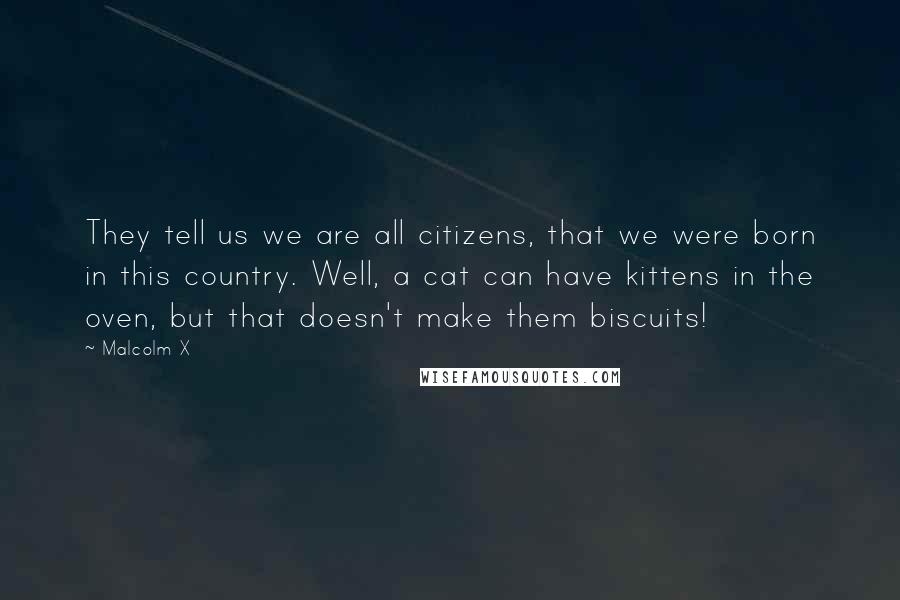 Malcolm X Quotes: They tell us we are all citizens, that we were born in this country. Well, a cat can have kittens in the oven, but that doesn't make them biscuits!