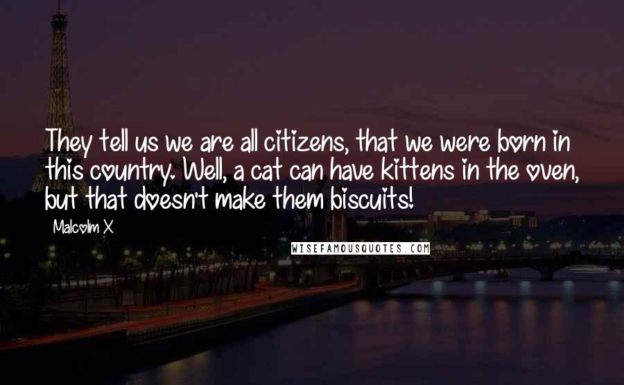 Malcolm X Quotes: They tell us we are all citizens, that we were born in this country. Well, a cat can have kittens in the oven, but that doesn't make them biscuits!