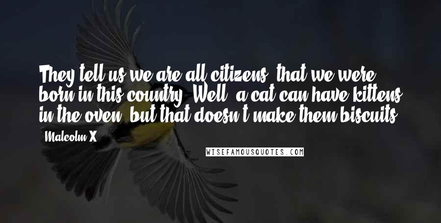 Malcolm X Quotes: They tell us we are all citizens, that we were born in this country. Well, a cat can have kittens in the oven, but that doesn't make them biscuits!