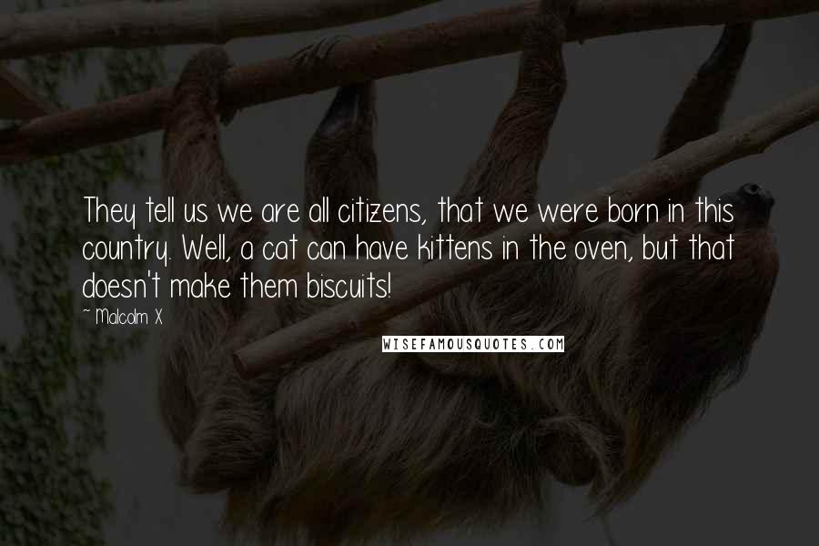 Malcolm X Quotes: They tell us we are all citizens, that we were born in this country. Well, a cat can have kittens in the oven, but that doesn't make them biscuits!