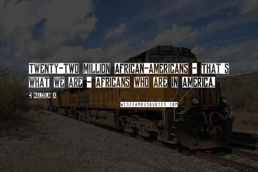 Malcolm X Quotes: Twenty-two million African-Americans - that's what we are - Africans who are in America.