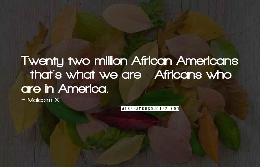 Malcolm X Quotes: Twenty-two million African-Americans - that's what we are - Africans who are in America.