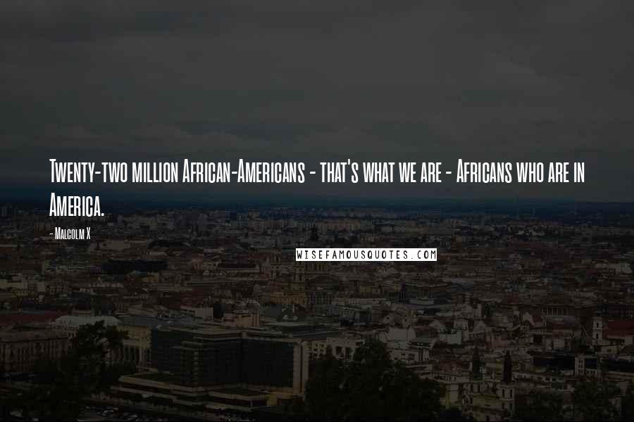 Malcolm X Quotes: Twenty-two million African-Americans - that's what we are - Africans who are in America.