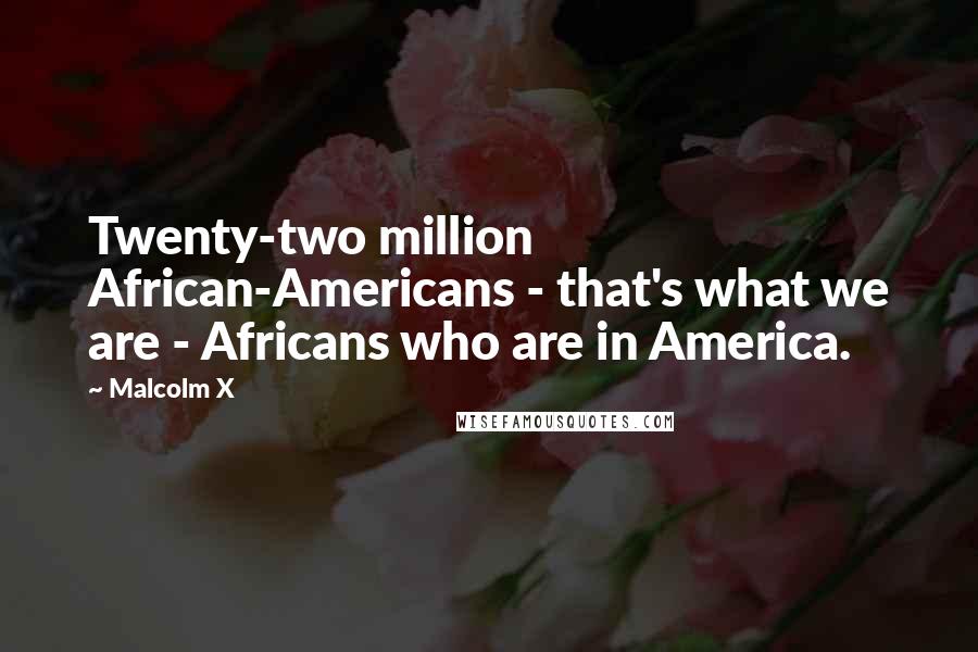 Malcolm X Quotes: Twenty-two million African-Americans - that's what we are - Africans who are in America.