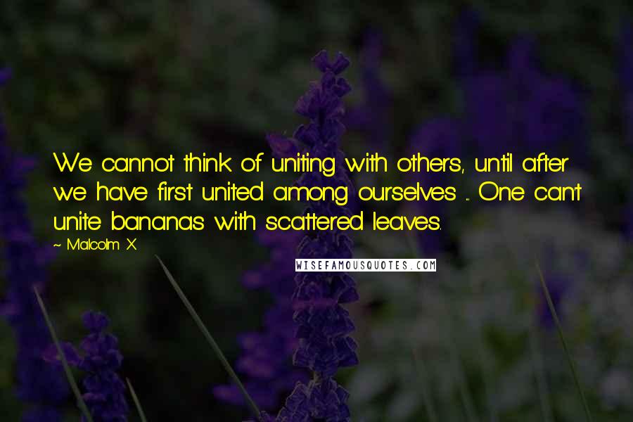 Malcolm X Quotes: We cannot think of uniting with others, until after we have first united among ourselves ... One can't unite bananas with scattered leaves.