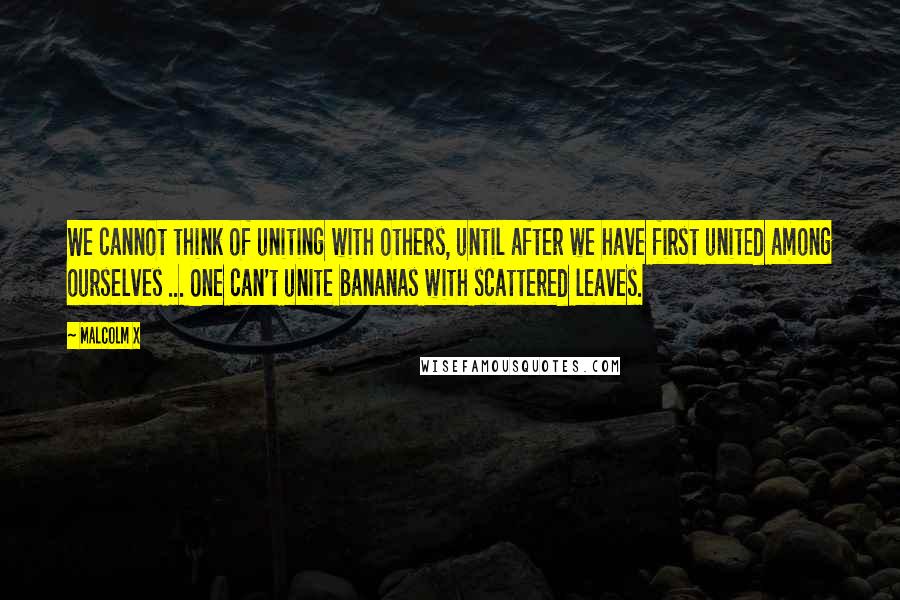 Malcolm X Quotes: We cannot think of uniting with others, until after we have first united among ourselves ... One can't unite bananas with scattered leaves.