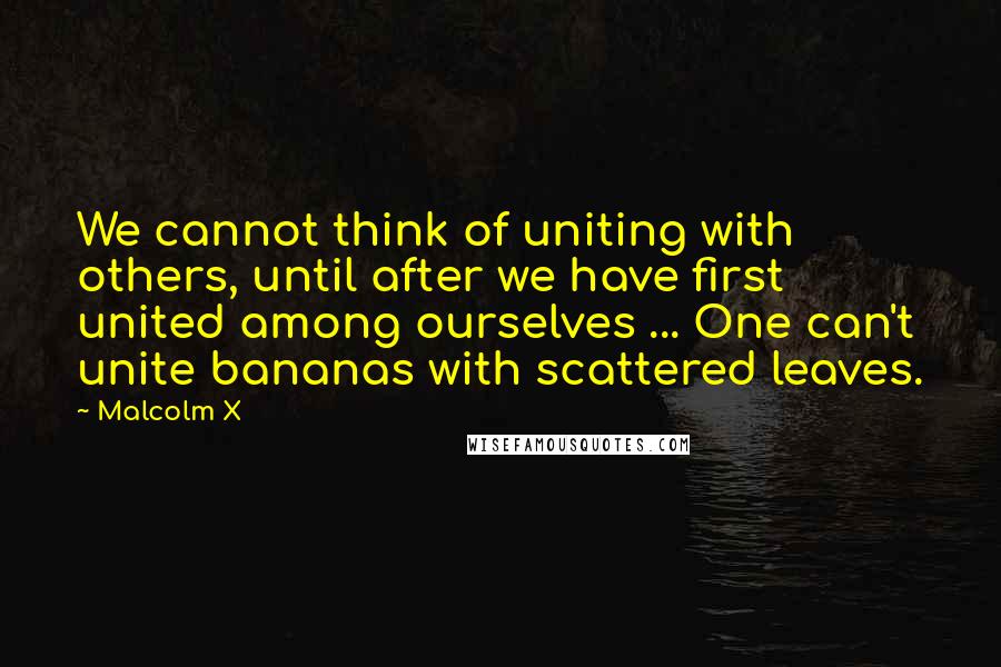 Malcolm X Quotes: We cannot think of uniting with others, until after we have first united among ourselves ... One can't unite bananas with scattered leaves.