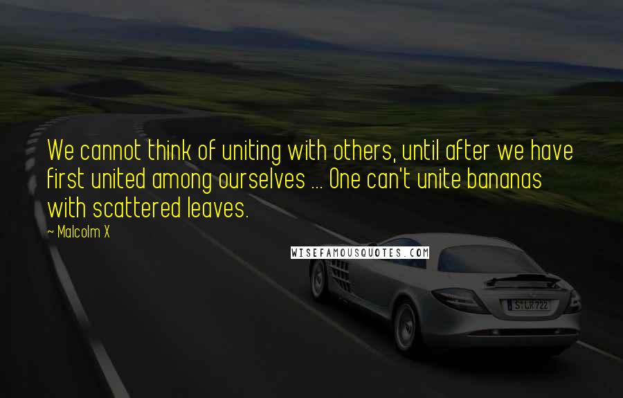 Malcolm X Quotes: We cannot think of uniting with others, until after we have first united among ourselves ... One can't unite bananas with scattered leaves.