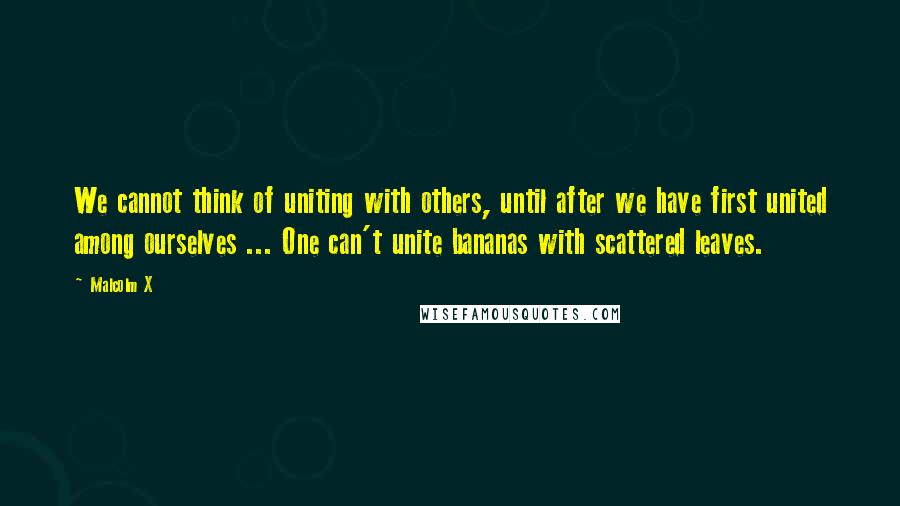 Malcolm X Quotes: We cannot think of uniting with others, until after we have first united among ourselves ... One can't unite bananas with scattered leaves.