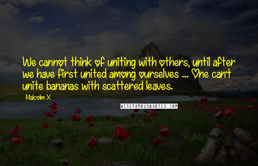 Malcolm X Quotes: We cannot think of uniting with others, until after we have first united among ourselves ... One can't unite bananas with scattered leaves.