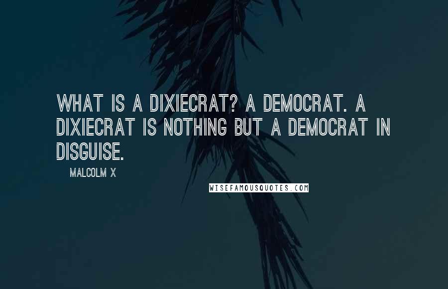 Malcolm X Quotes: What is a Dixiecrat? A Democrat. A Dixiecrat is nothing but a Democrat in disguise.