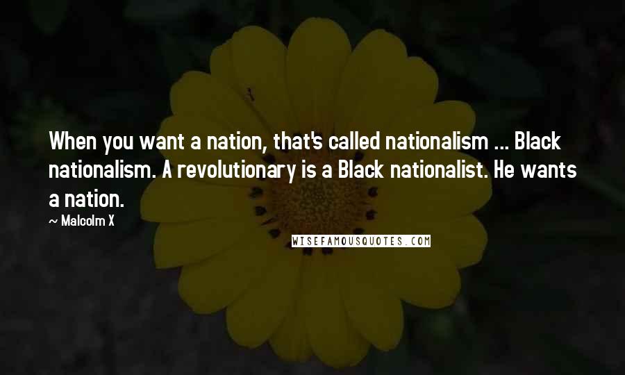 Malcolm X Quotes: When you want a nation, that's called nationalism ... Black nationalism. A revolutionary is a Black nationalist. He wants a nation.
