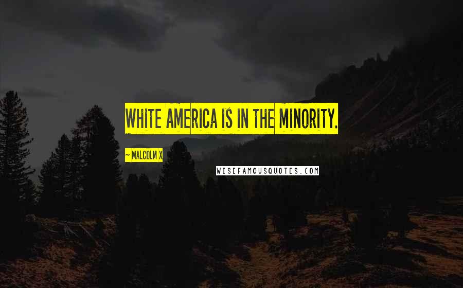 Malcolm X Quotes: White America is in the minority.