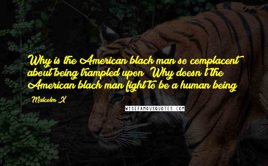 Malcolm X Quotes: Why is the American black man so complacent about being trampled upon? Why doesn't the American black man fight to be a human being?