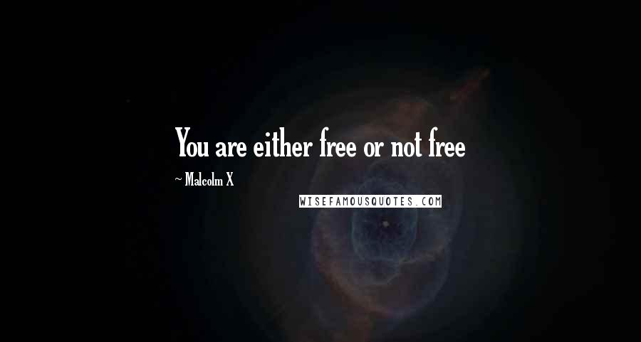 Malcolm X Quotes: You are either free or not free