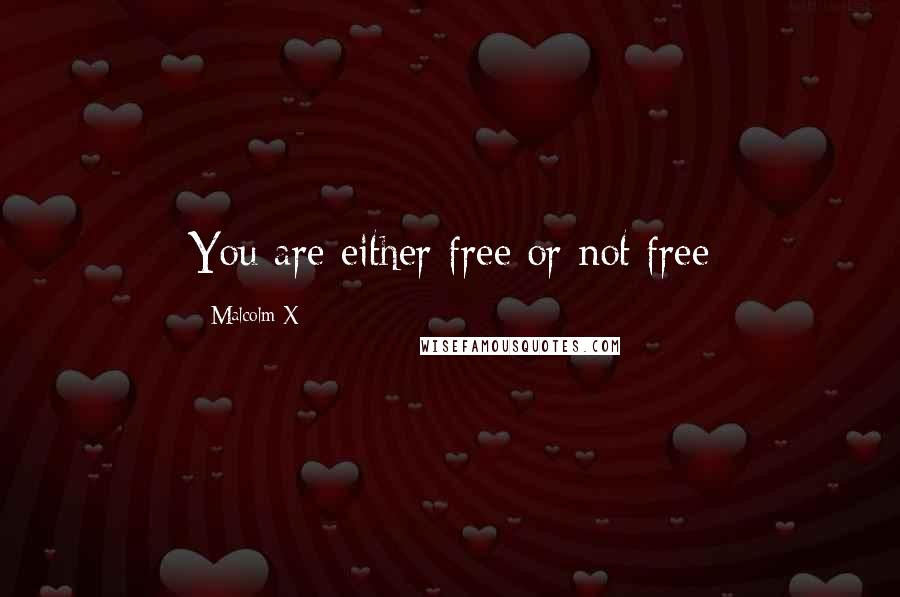 Malcolm X Quotes: You are either free or not free