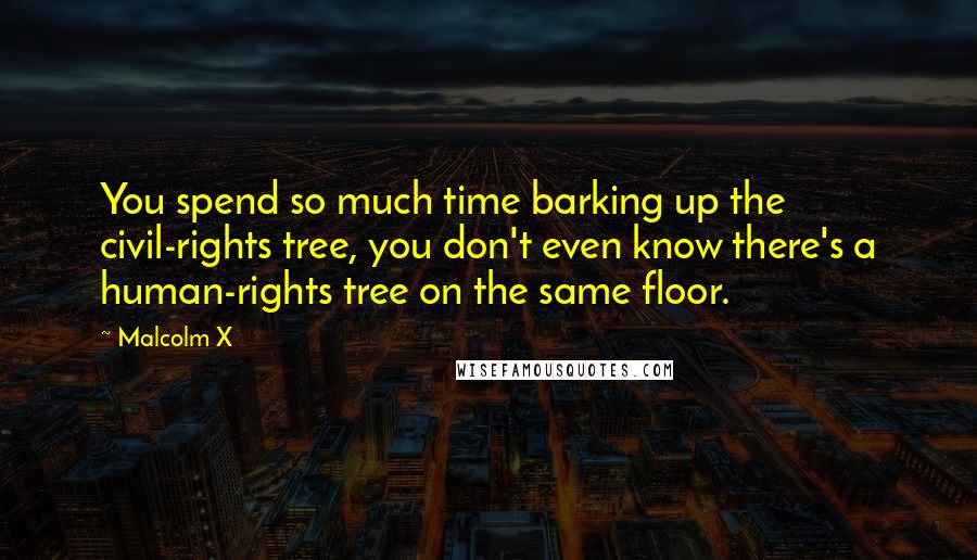 Malcolm X Quotes: You spend so much time barking up the civil-rights tree, you don't even know there's a human-rights tree on the same floor.