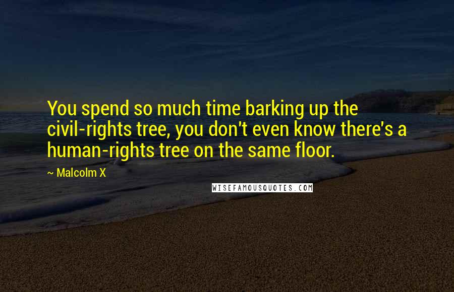 Malcolm X Quotes: You spend so much time barking up the civil-rights tree, you don't even know there's a human-rights tree on the same floor.