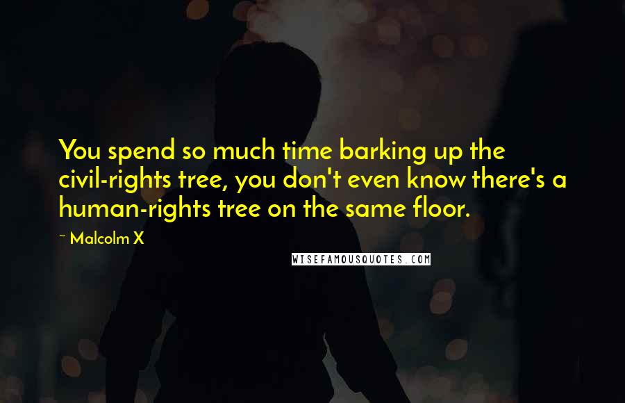 Malcolm X Quotes: You spend so much time barking up the civil-rights tree, you don't even know there's a human-rights tree on the same floor.