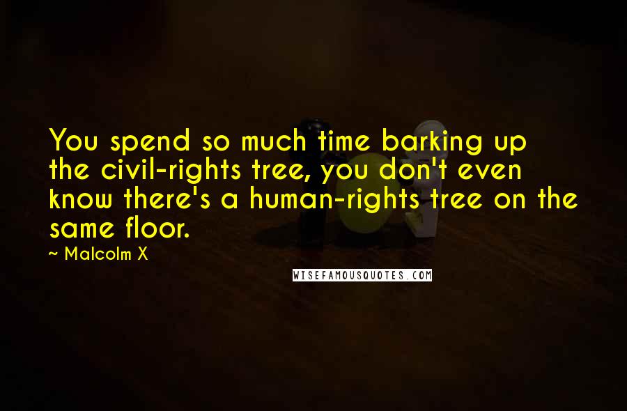 Malcolm X Quotes: You spend so much time barking up the civil-rights tree, you don't even know there's a human-rights tree on the same floor.