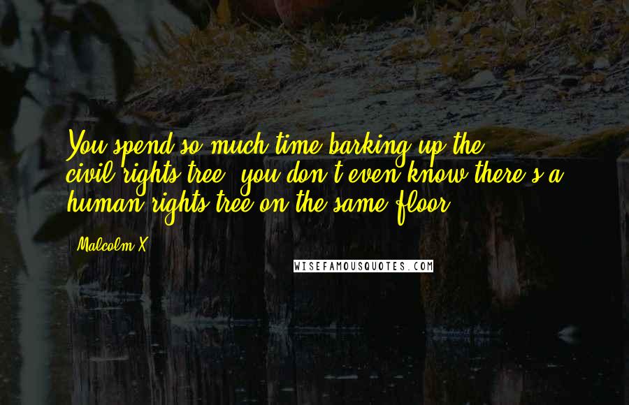 Malcolm X Quotes: You spend so much time barking up the civil-rights tree, you don't even know there's a human-rights tree on the same floor.