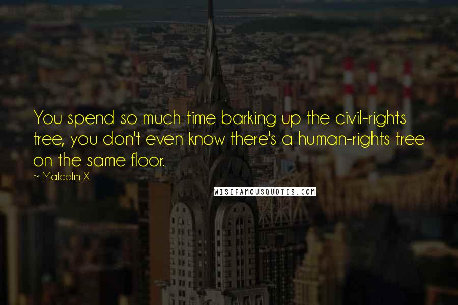 Malcolm X Quotes: You spend so much time barking up the civil-rights tree, you don't even know there's a human-rights tree on the same floor.