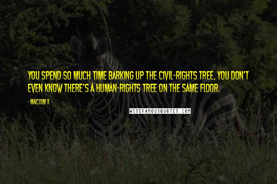 Malcolm X Quotes: You spend so much time barking up the civil-rights tree, you don't even know there's a human-rights tree on the same floor.