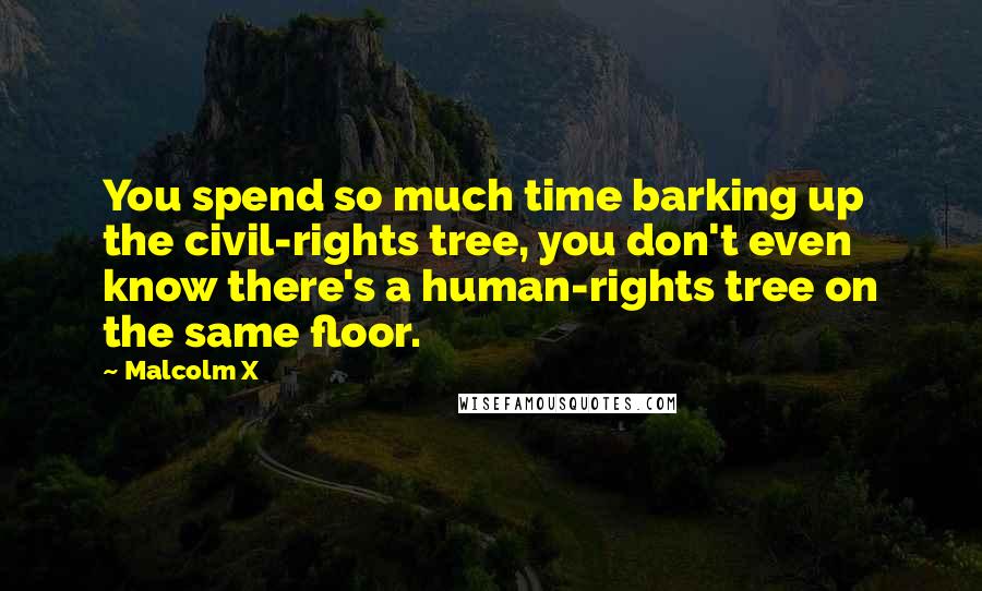 Malcolm X Quotes: You spend so much time barking up the civil-rights tree, you don't even know there's a human-rights tree on the same floor.