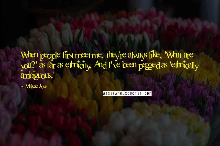 Malese Jow Quotes: When people first meet me, they're always like, 'What are you?' as far as ethnicity. And I've been pegged as 'ethnically ambiguous.'