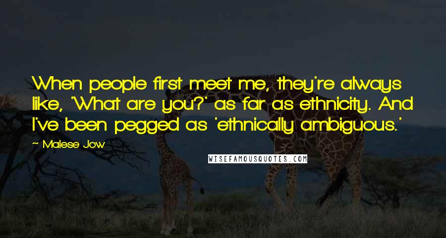 Malese Jow Quotes: When people first meet me, they're always like, 'What are you?' as far as ethnicity. And I've been pegged as 'ethnically ambiguous.'