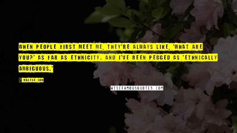 Malese Jow Quotes: When people first meet me, they're always like, 'What are you?' as far as ethnicity. And I've been pegged as 'ethnically ambiguous.'