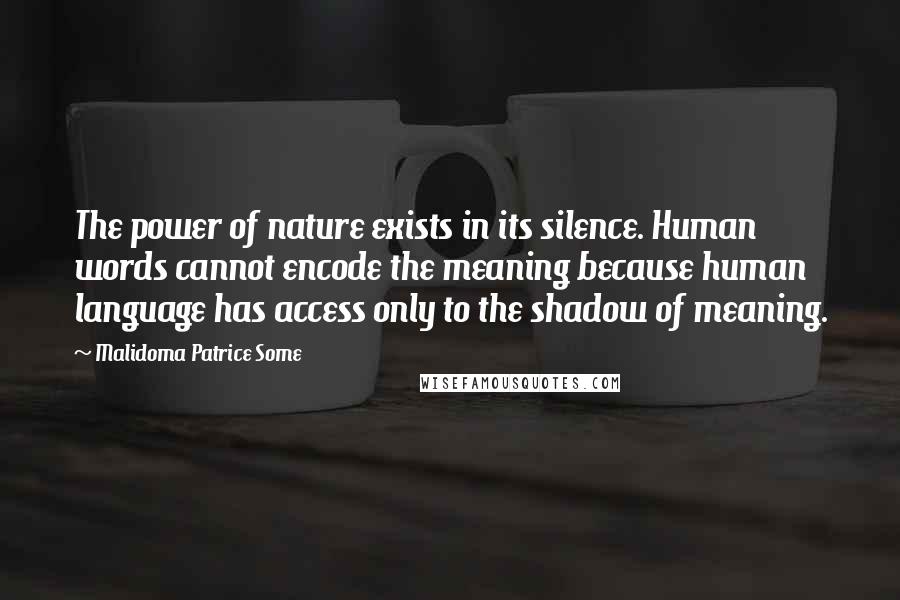 Malidoma Patrice Some Quotes: The power of nature exists in its silence. Human words cannot encode the meaning because human language has access only to the shadow of meaning.