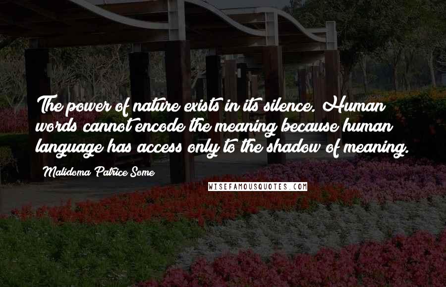 Malidoma Patrice Some Quotes: The power of nature exists in its silence. Human words cannot encode the meaning because human language has access only to the shadow of meaning.