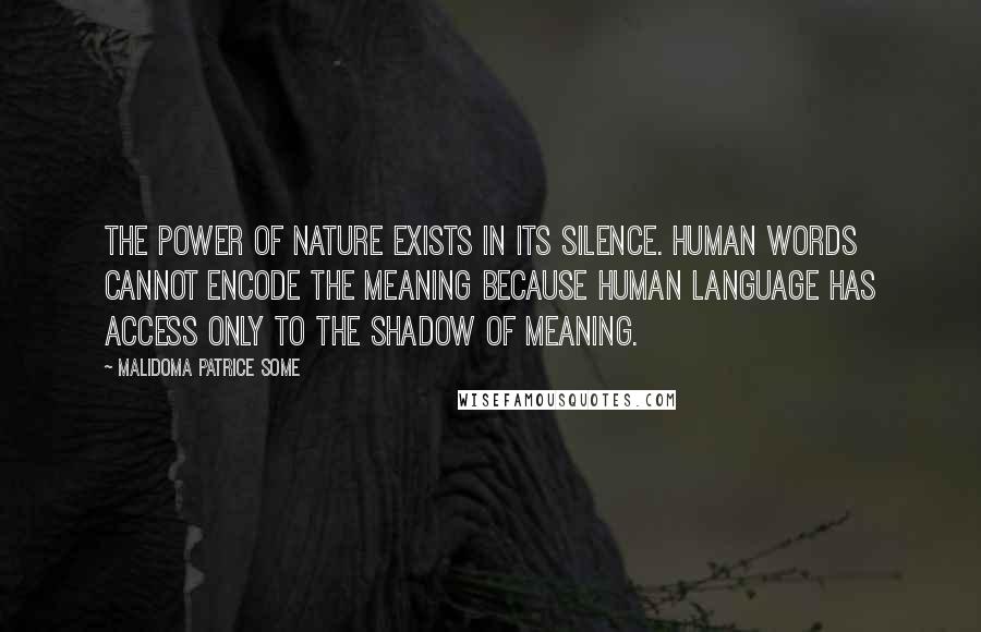 Malidoma Patrice Some Quotes: The power of nature exists in its silence. Human words cannot encode the meaning because human language has access only to the shadow of meaning.