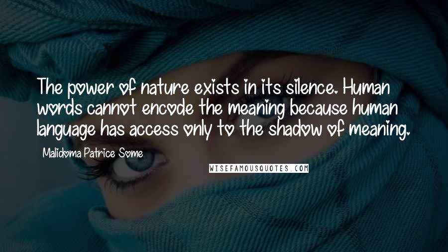 Malidoma Patrice Some Quotes: The power of nature exists in its silence. Human words cannot encode the meaning because human language has access only to the shadow of meaning.