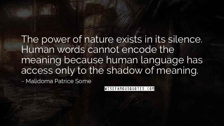 Malidoma Patrice Some Quotes: The power of nature exists in its silence. Human words cannot encode the meaning because human language has access only to the shadow of meaning.