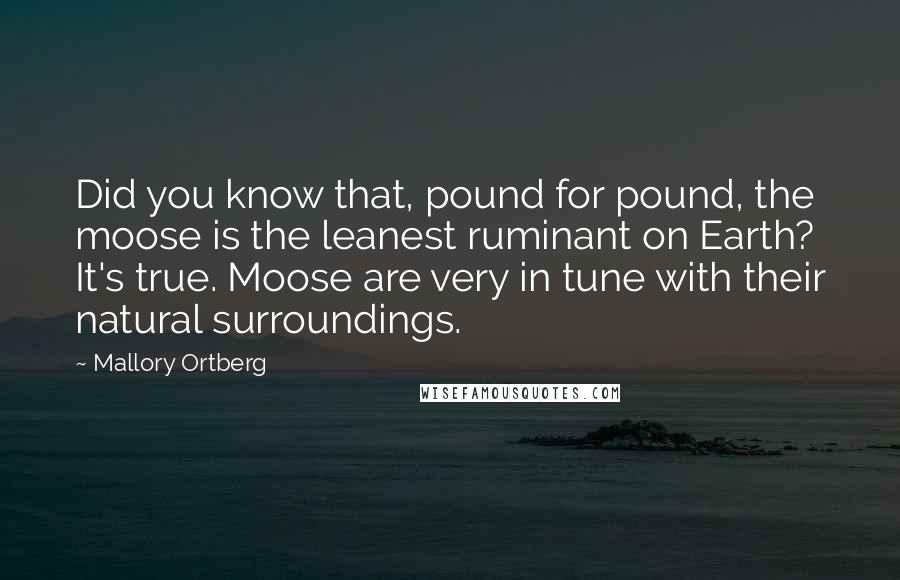 Mallory Ortberg Quotes: Did you know that, pound for pound, the moose is the leanest ruminant on Earth? It's true. Moose are very in tune with their natural surroundings.