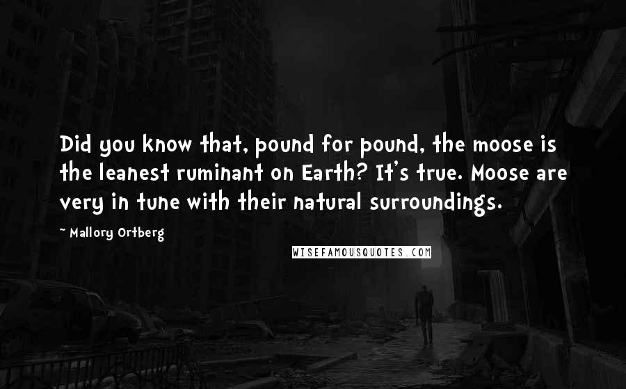 Mallory Ortberg Quotes: Did you know that, pound for pound, the moose is the leanest ruminant on Earth? It's true. Moose are very in tune with their natural surroundings.