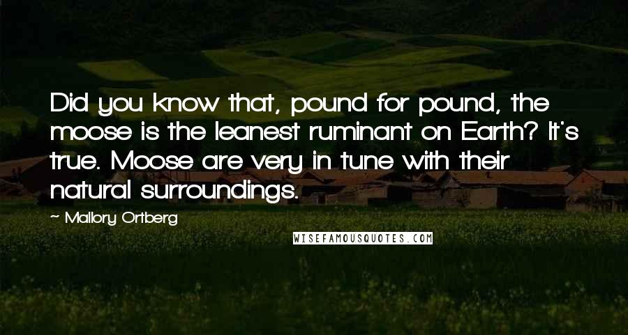 Mallory Ortberg Quotes: Did you know that, pound for pound, the moose is the leanest ruminant on Earth? It's true. Moose are very in tune with their natural surroundings.