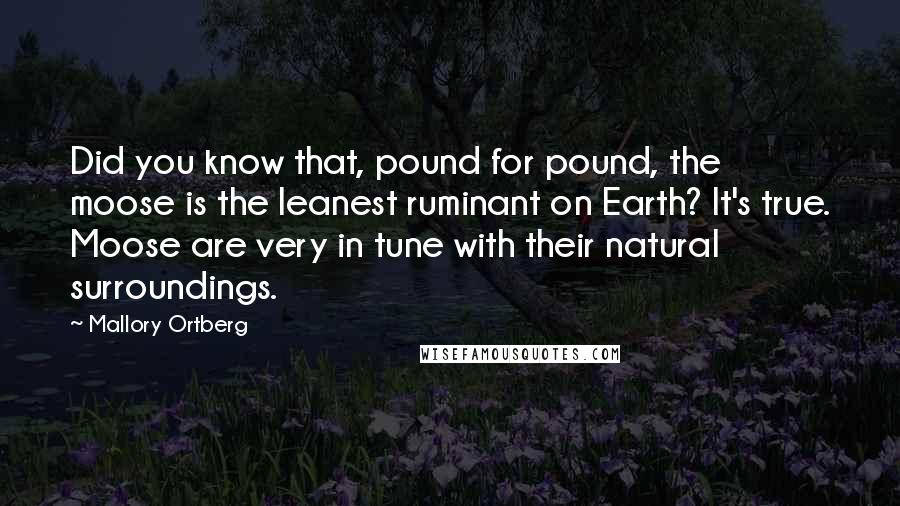 Mallory Ortberg Quotes: Did you know that, pound for pound, the moose is the leanest ruminant on Earth? It's true. Moose are very in tune with their natural surroundings.