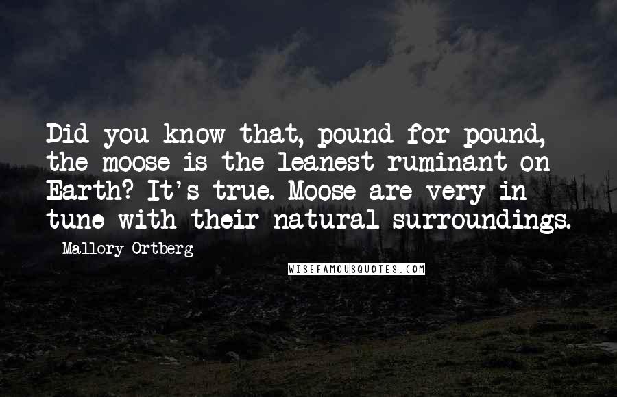 Mallory Ortberg Quotes: Did you know that, pound for pound, the moose is the leanest ruminant on Earth? It's true. Moose are very in tune with their natural surroundings.