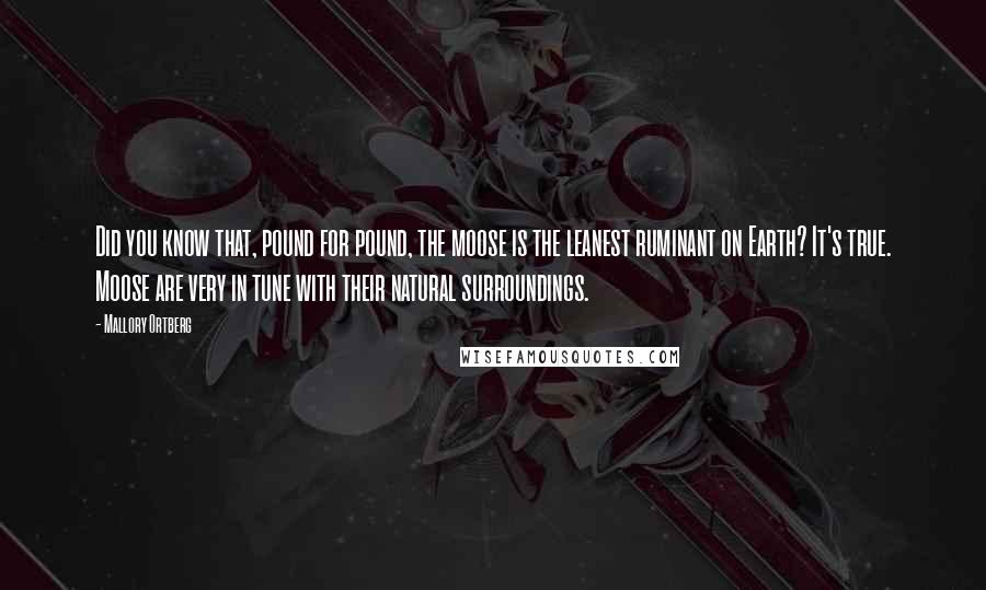 Mallory Ortberg Quotes: Did you know that, pound for pound, the moose is the leanest ruminant on Earth? It's true. Moose are very in tune with their natural surroundings.