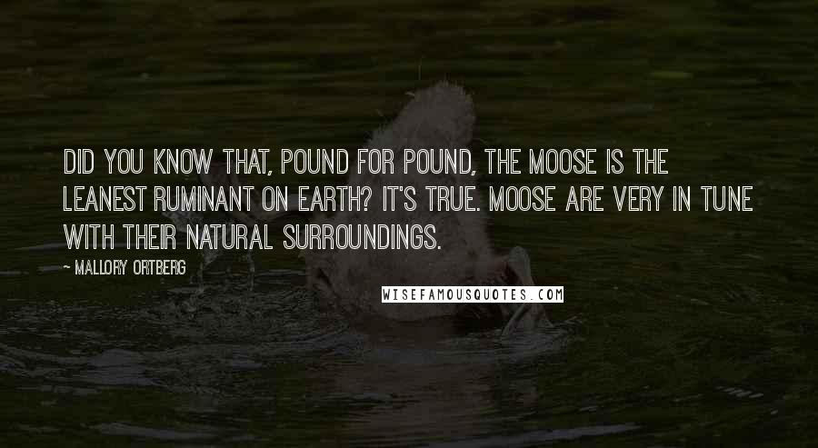 Mallory Ortberg Quotes: Did you know that, pound for pound, the moose is the leanest ruminant on Earth? It's true. Moose are very in tune with their natural surroundings.