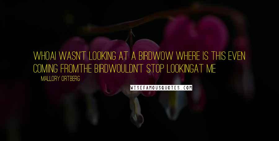 Mallory Ortberg Quotes: whoaI wasn't LOOKING at a birdwow where is this even coming fromthe BIRDwouldn't stop LOOKINGat ME