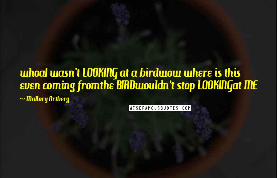 Mallory Ortberg Quotes: whoaI wasn't LOOKING at a birdwow where is this even coming fromthe BIRDwouldn't stop LOOKINGat ME