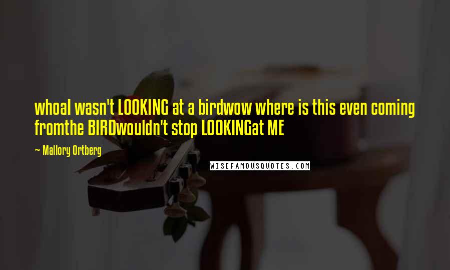 Mallory Ortberg Quotes: whoaI wasn't LOOKING at a birdwow where is this even coming fromthe BIRDwouldn't stop LOOKINGat ME