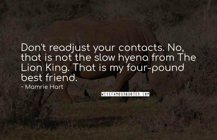 Mamrie Hart Quotes: Don't readjust your contacts. No, that is not the slow hyena from The Lion King. That is my four-pound best friend.