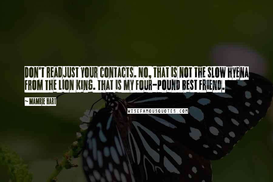 Mamrie Hart Quotes: Don't readjust your contacts. No, that is not the slow hyena from The Lion King. That is my four-pound best friend.